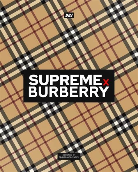 burberry x stussy collab